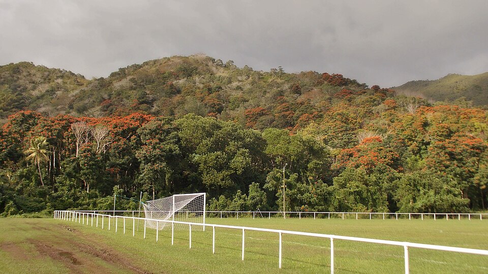 Début de floraison de la forêt et stade de football de Ponérihouen — 2015